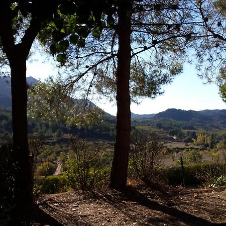 Montsant Park Camping & Bungalow Ulldemolins Esterno foto