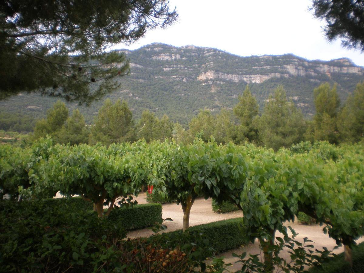 Montsant Park Camping & Bungalow Ulldemolins Esterno foto