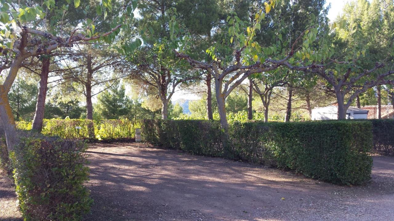 Montsant Park Camping & Bungalow Ulldemolins Esterno foto