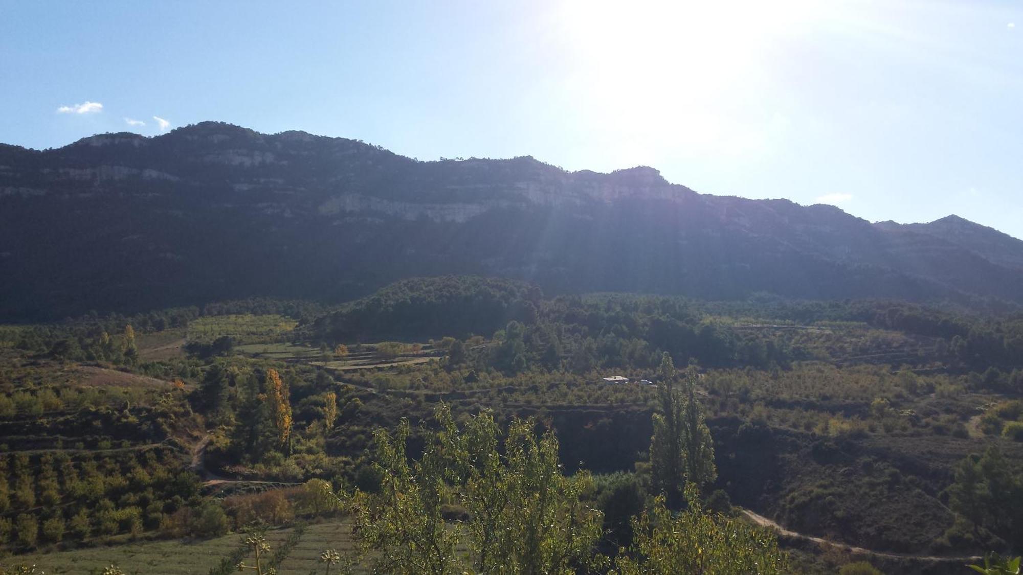 Montsant Park Camping & Bungalow Ulldemolins Esterno foto