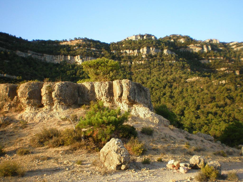 Montsant Park Camping & Bungalow Ulldemolins Esterno foto