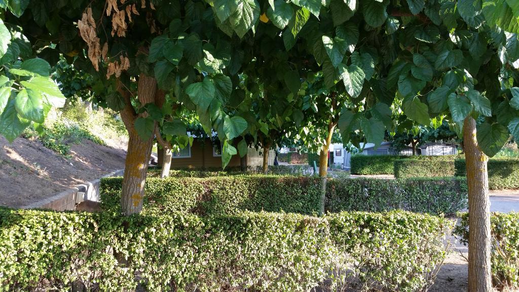 Montsant Park Camping & Bungalow Ulldemolins Esterno foto