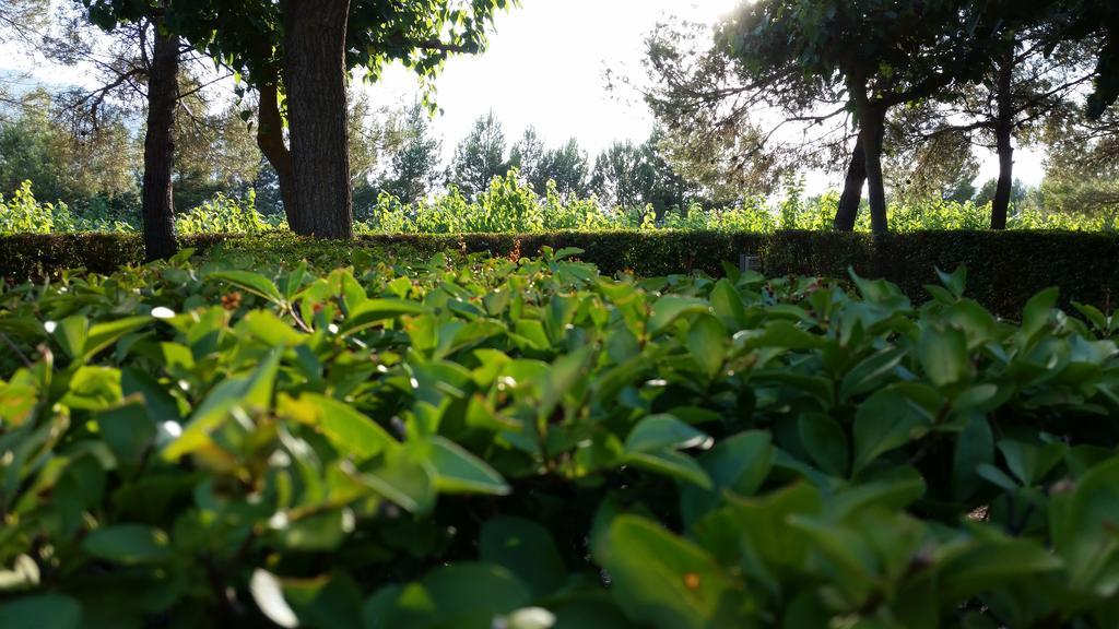 Montsant Park Camping & Bungalow Ulldemolins Esterno foto